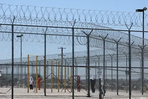 Punjabi Elderly Woman's Detention by US Immigration Officials Ignites Public Anger